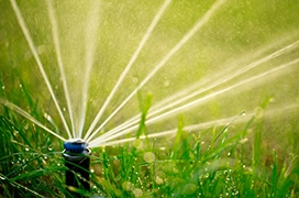 A sprinkler head spraying streams of water on a lush green lawn.