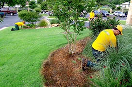 The Grounds Guys service professional tending to plants in a mulch bed.