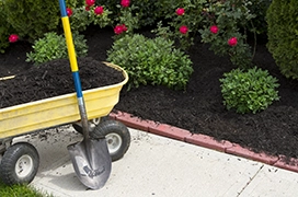 A wheelbarrow with soil next to a mulch bed.