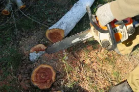 The Grounds Guys service professional holding a chainsaw over a fallen tree and logs.