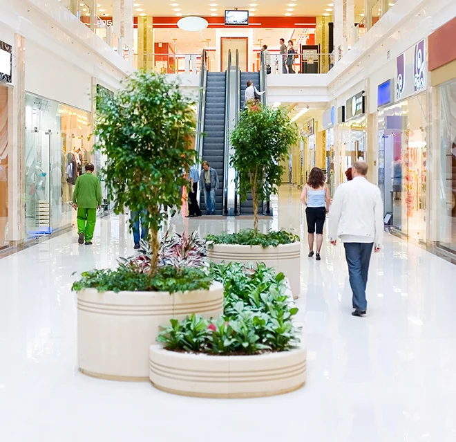 Potted trees and plants decorating the interior of a shopping mall.