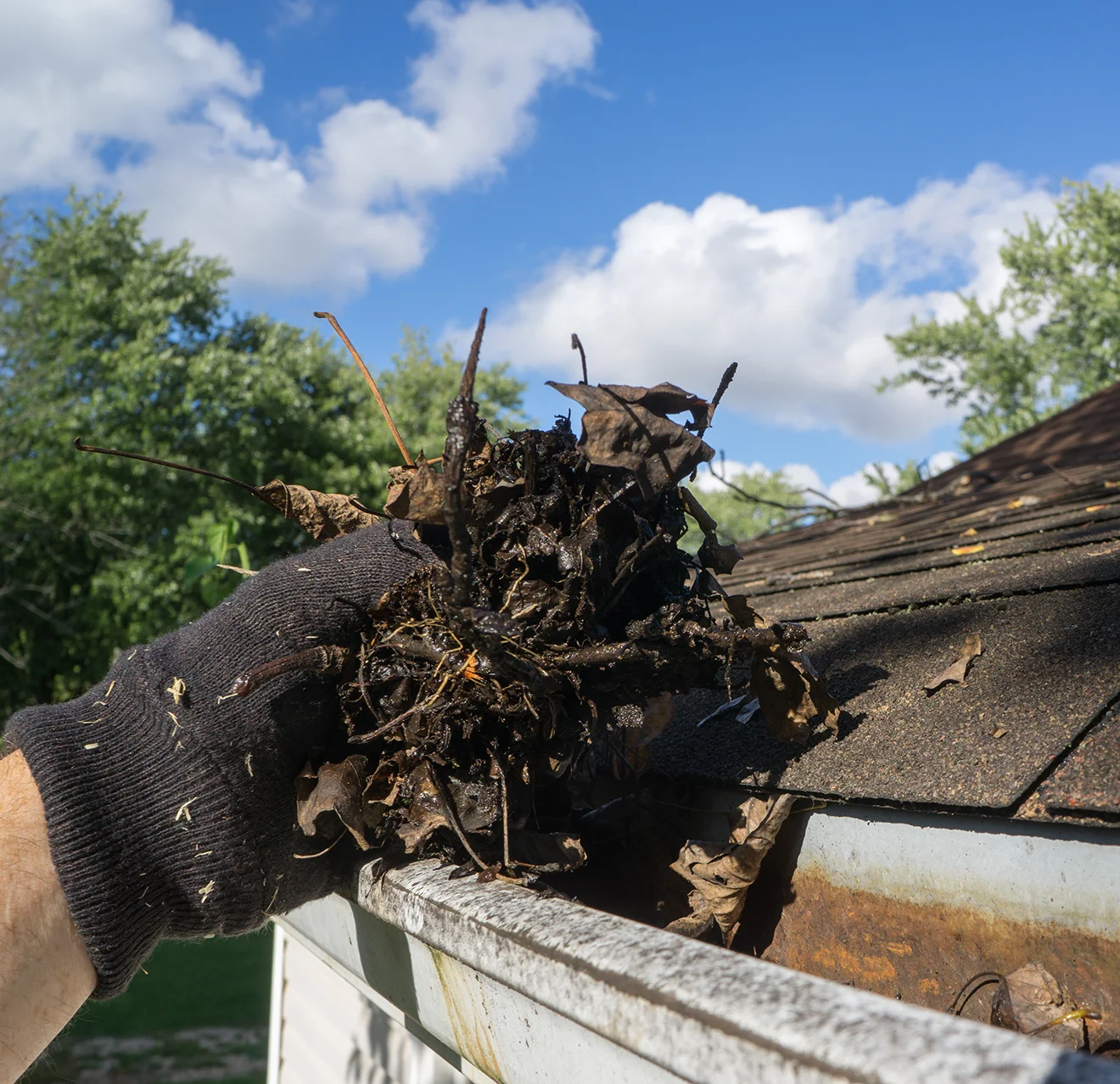 Gutter cleaning.