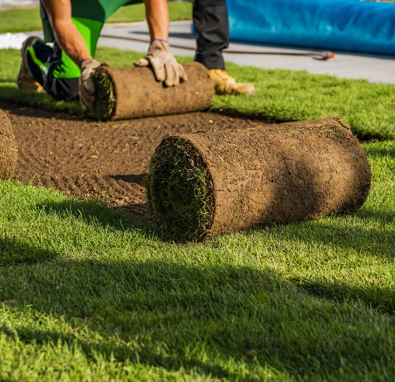 Rolls of sod being installed.