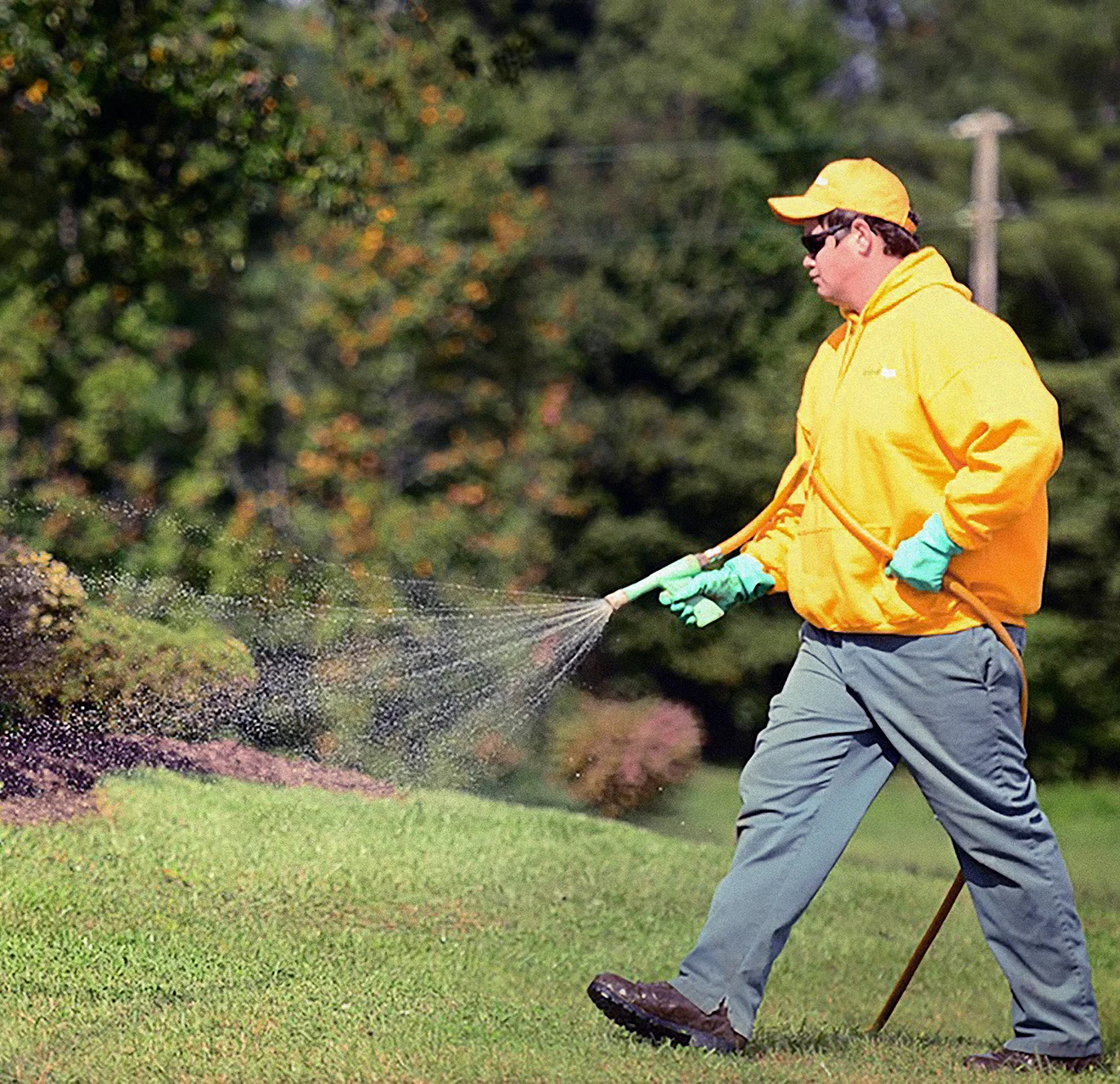 Guy shrub pest control sprayer.