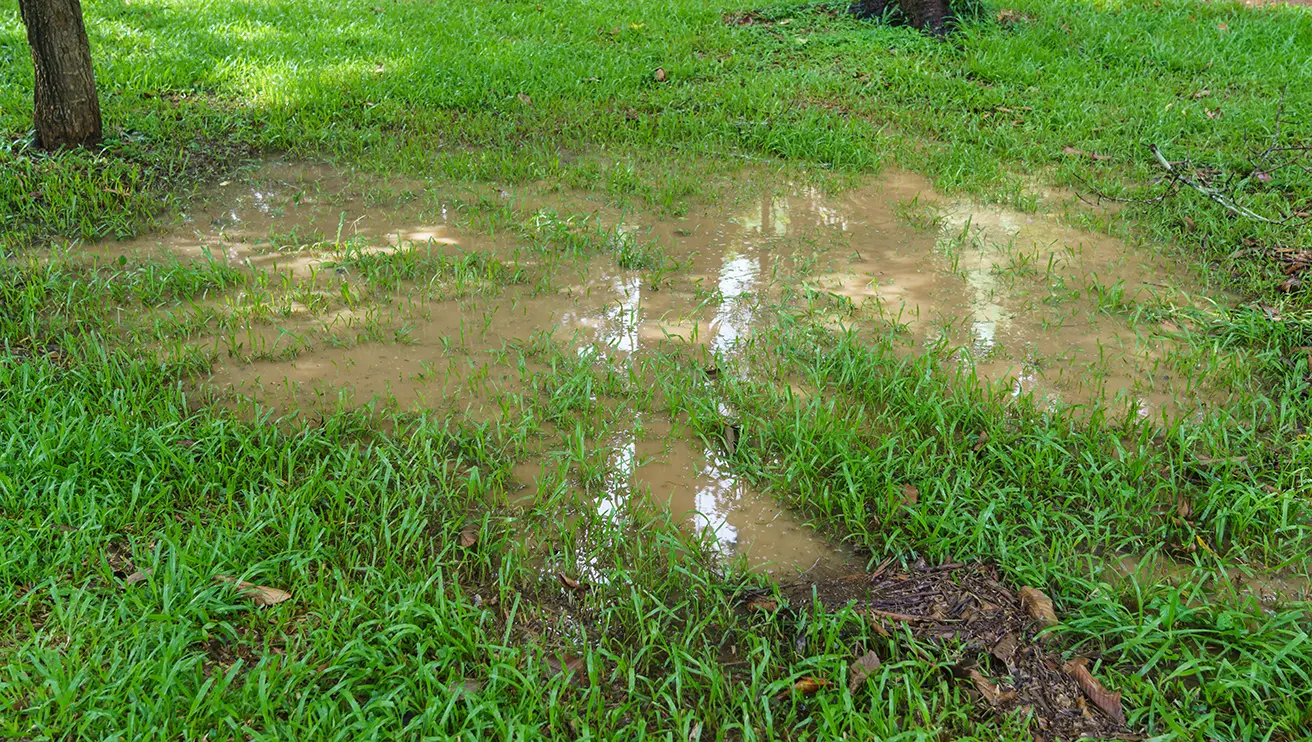 Muddy standing water visible on a portion of a lawn.