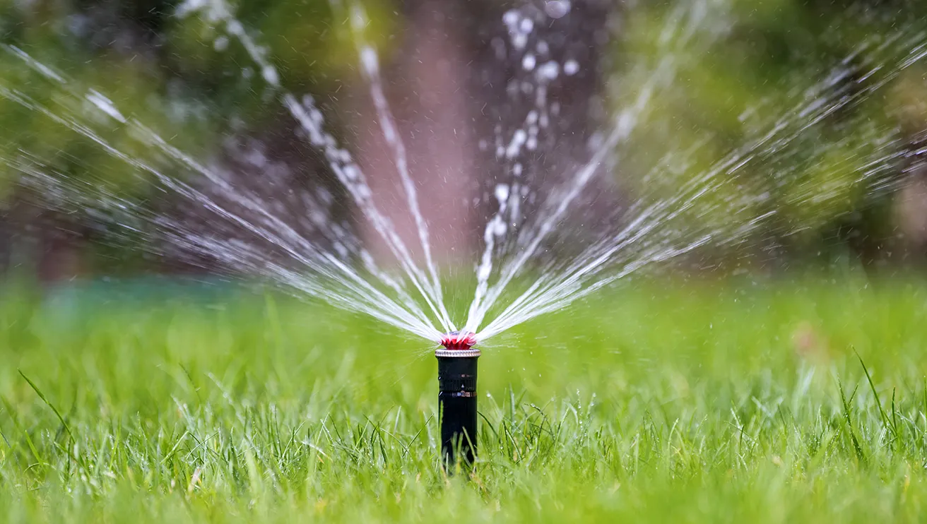 Sprinkler head.