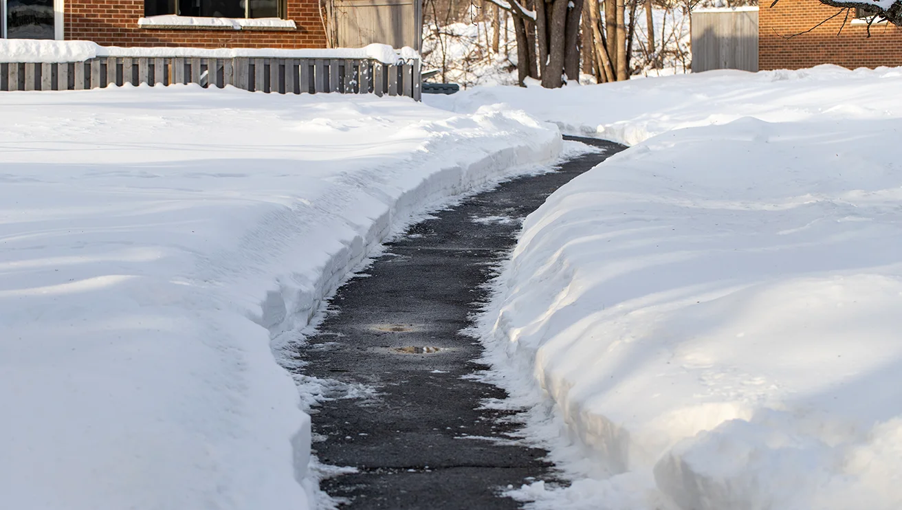 Snow cleared from a blacktop pathway.