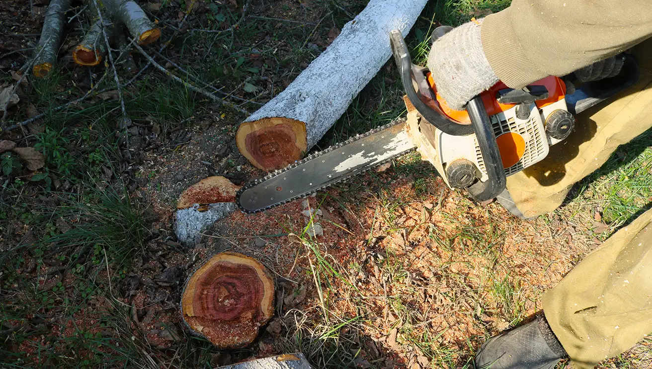 The Grounds Guys service professional holding a chainsaw over a fallen tree and logs.