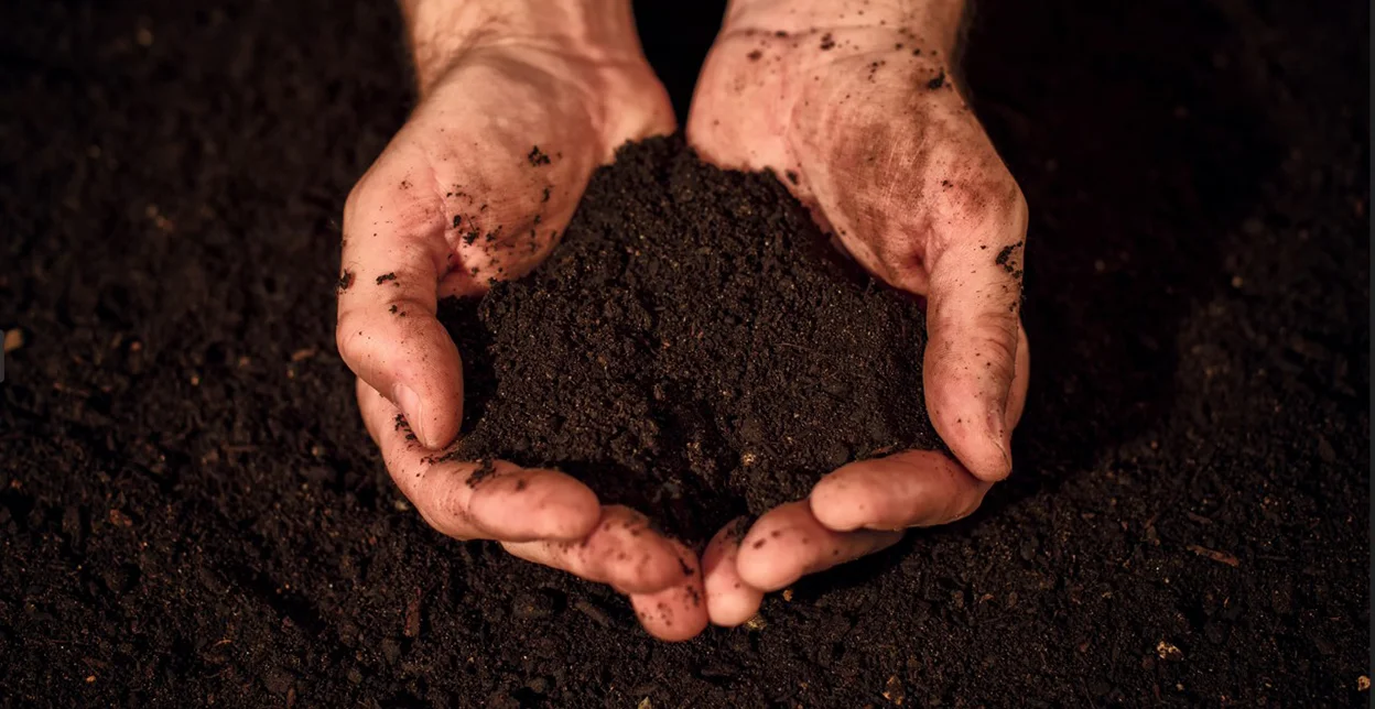 Holding soil with both hands.