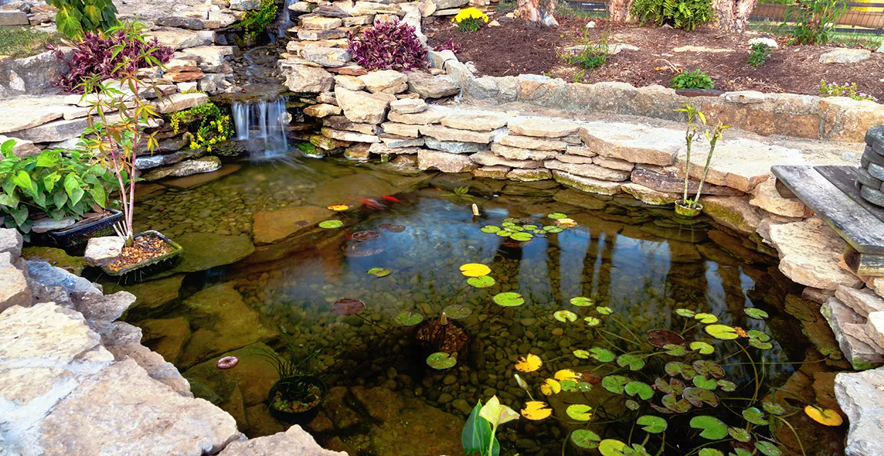 Decorative koi pond in a garden.