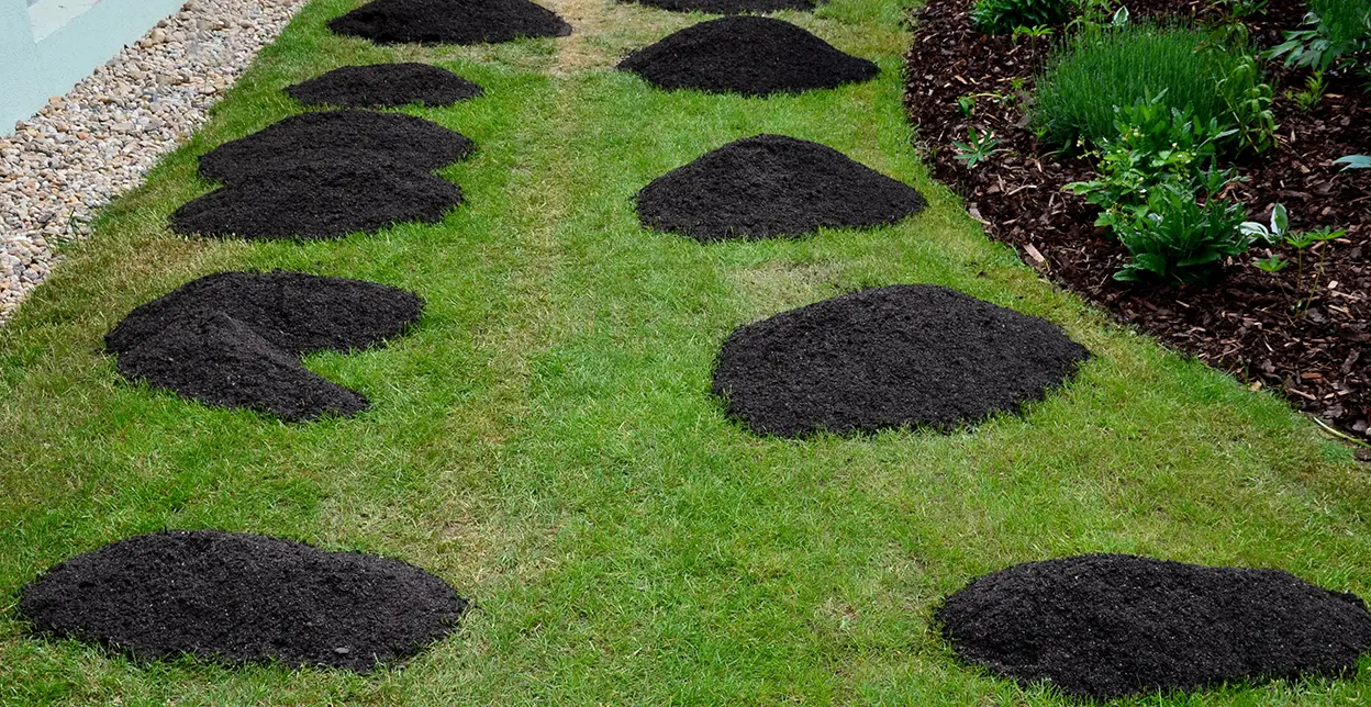 Compost applied to a lawn in patches to improve the grass.