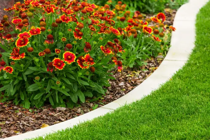 Flower bed with concrete edging