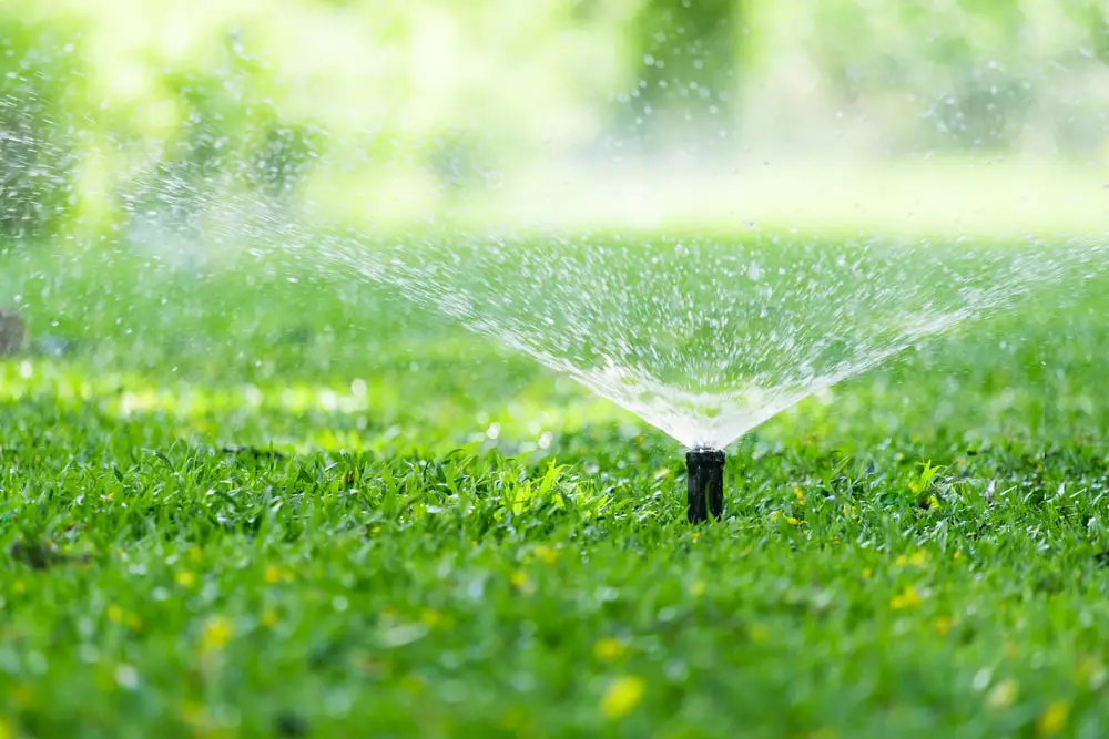 Sprinkler watering lawn