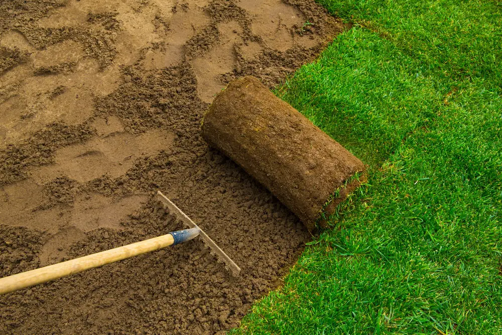 Rake prepping ground for sod