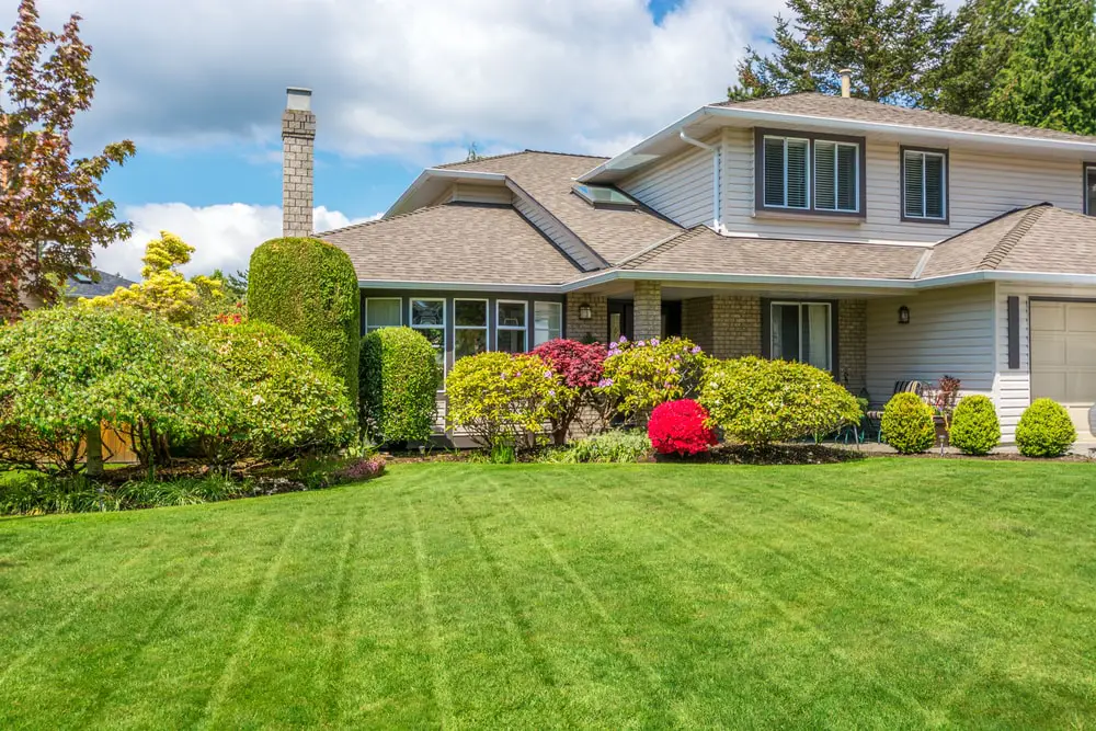 Residential front yard with healthy grass