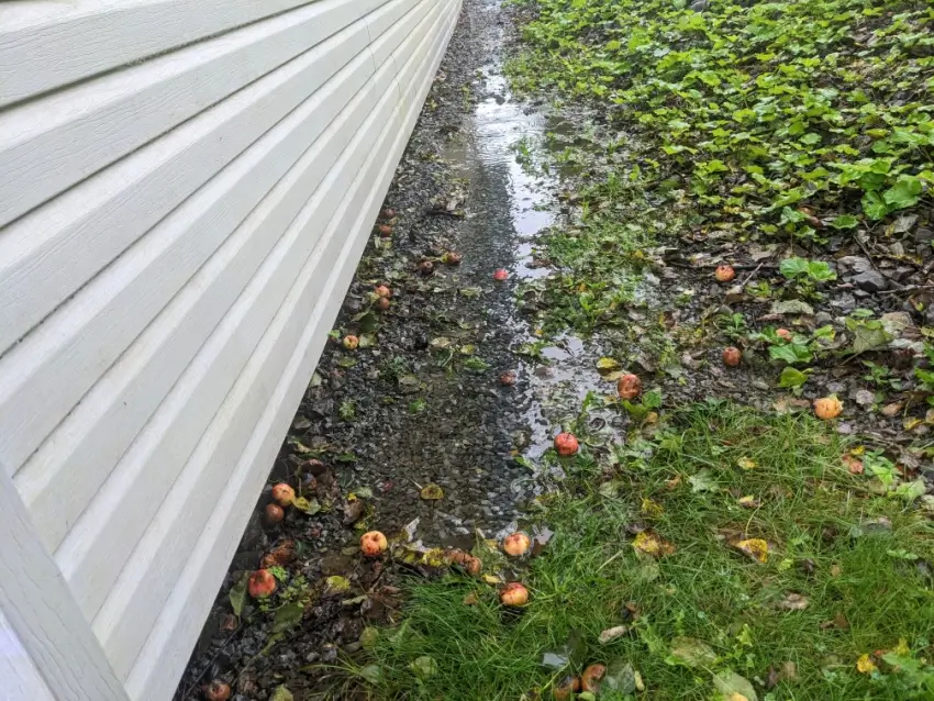 Water pooled at the foundation of a home.