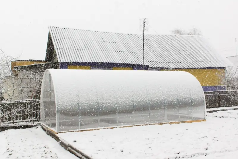 Plastic greenhouse covered in snow.