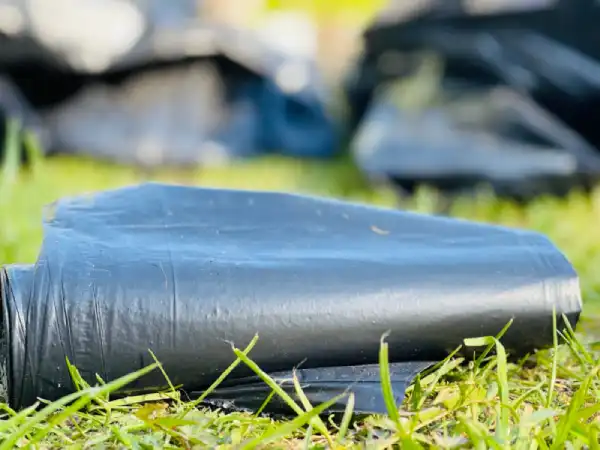 Black trash bag on grass solarizing weeds.