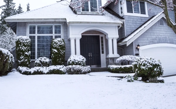 Suburban home with snow on lawn, plants, trees and roof.