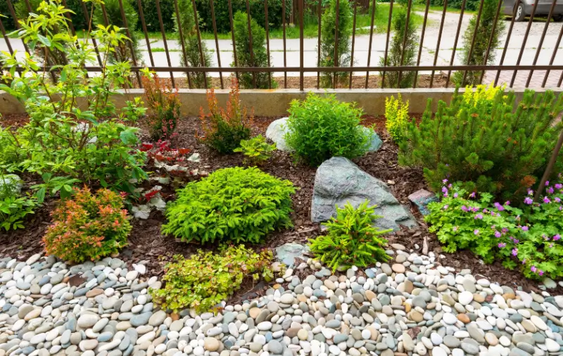 Plant bed with stones and bark mulch.