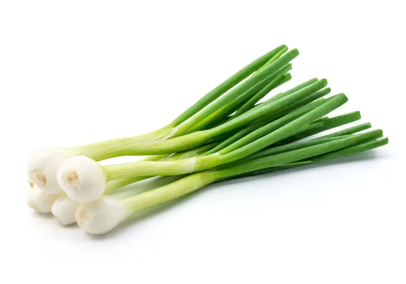 Green onion