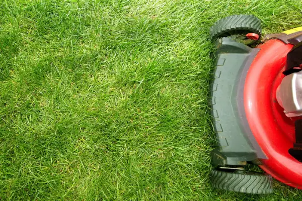 Lawn mower on grass.