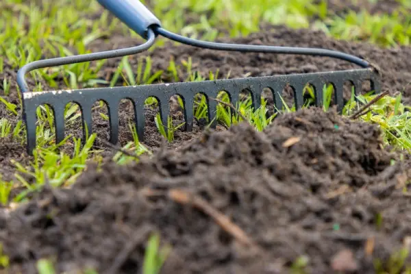 Raking fresh soil on grass.