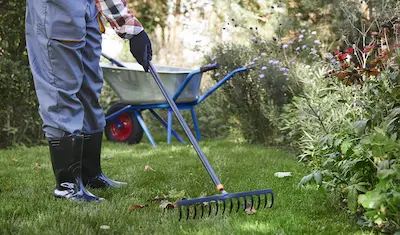 person using a rake to clean yard