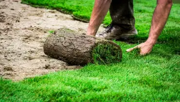 Laying Sod