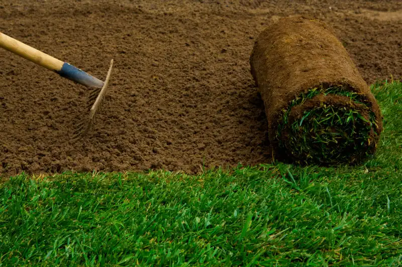 A rake being used on soil next to curled piece of sod ready for installation.