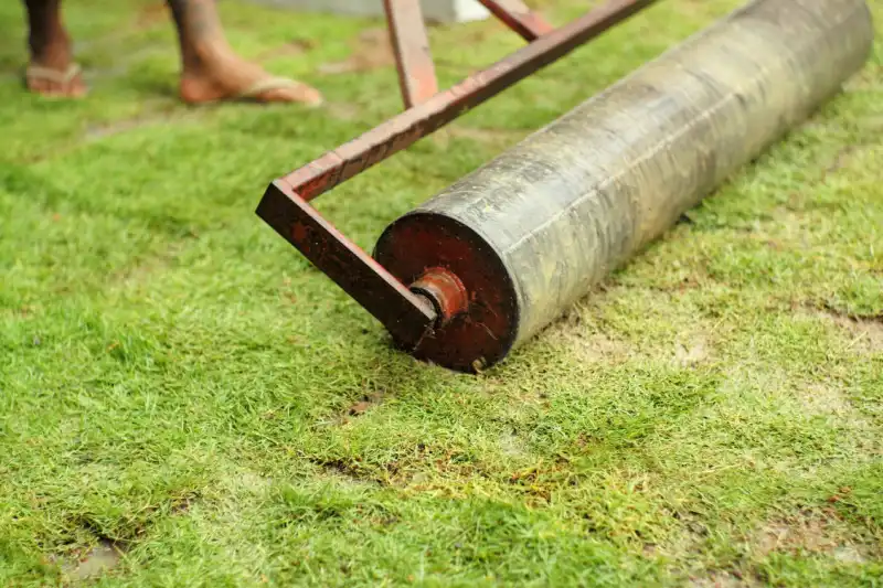 A steel drum being pressed into an uneven lawn.