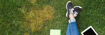 person laying on grass by dead spot