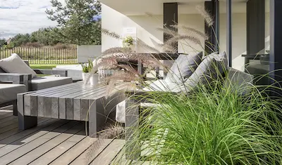 potted ornamental grass on a porch