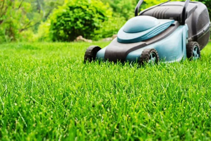 Lawn mower on grass.