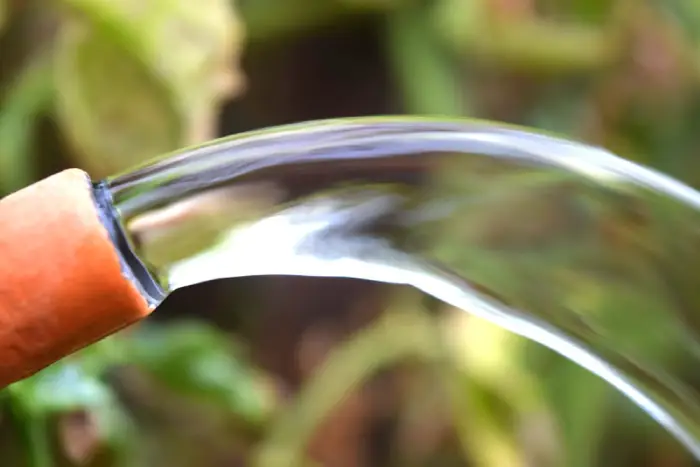 water coming out of garden hose